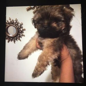 Meet your Posher, Jade